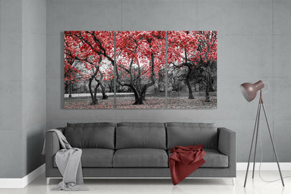 Three-panel glass wall art depicting black tree trunks with bright red foliage displayed above gray sofa in modern living room.
