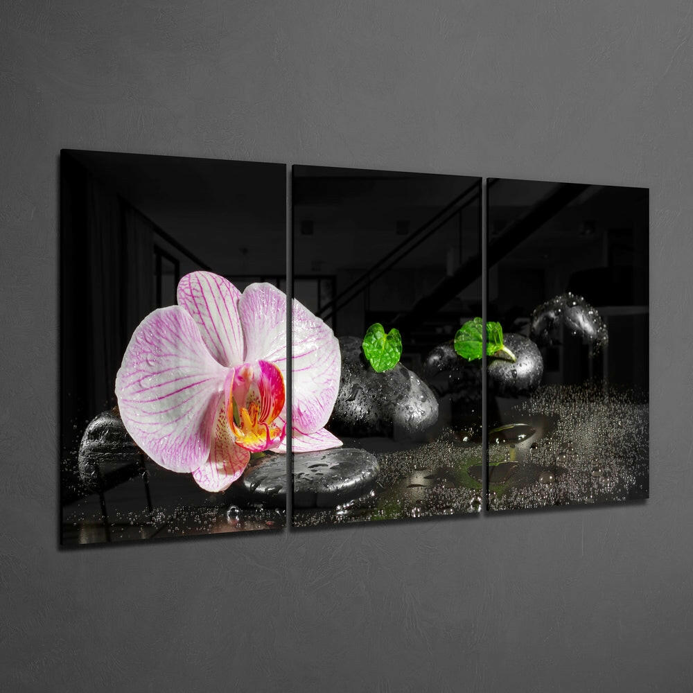 Three-panel glass wall art displaying a pink orchid with yellow center and black stones with water droplets on gray background.