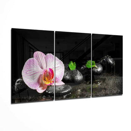 Three-panel glass wall art displaying pink orchid flower on black stones with water droplets and green leaves against dark background.