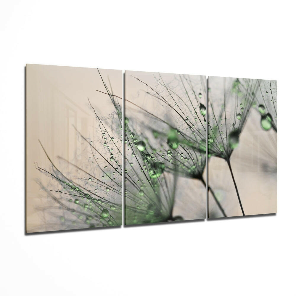 Dewdrop Dandelion Seeds Macro Glass Wall Art