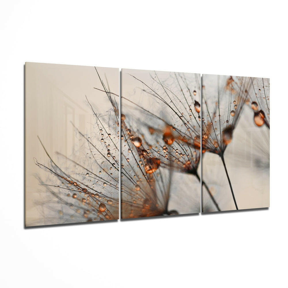 Golden Dew Drops Dandelion Seed Glass Wall Art