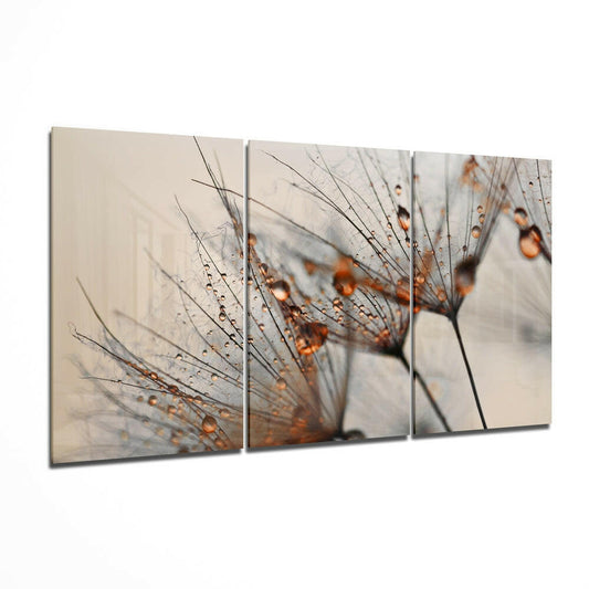 Three-panel glass wall art displaying close-up dandelion seeds with amber water droplets on neutral beige background.