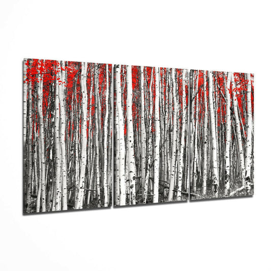Triptych glass wall art displaying a forest of white birch tree trunks with bright red foliage canopy at top, viewed at three-quarter angle.