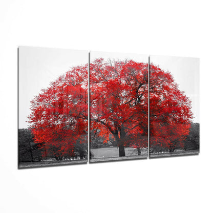 Red Canopy Tree Field Glass Wall Art