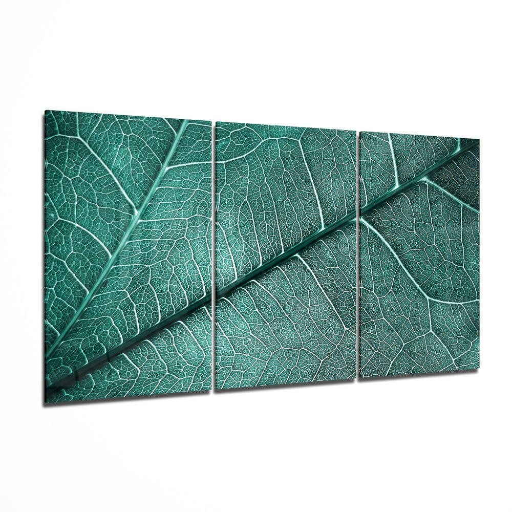 Three-panel glass wall art displaying close-up green leaf texture with detailed veining and branching patterns.