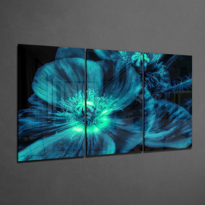 Glowing Turquoise Poppy Close Up Glass Wall Art