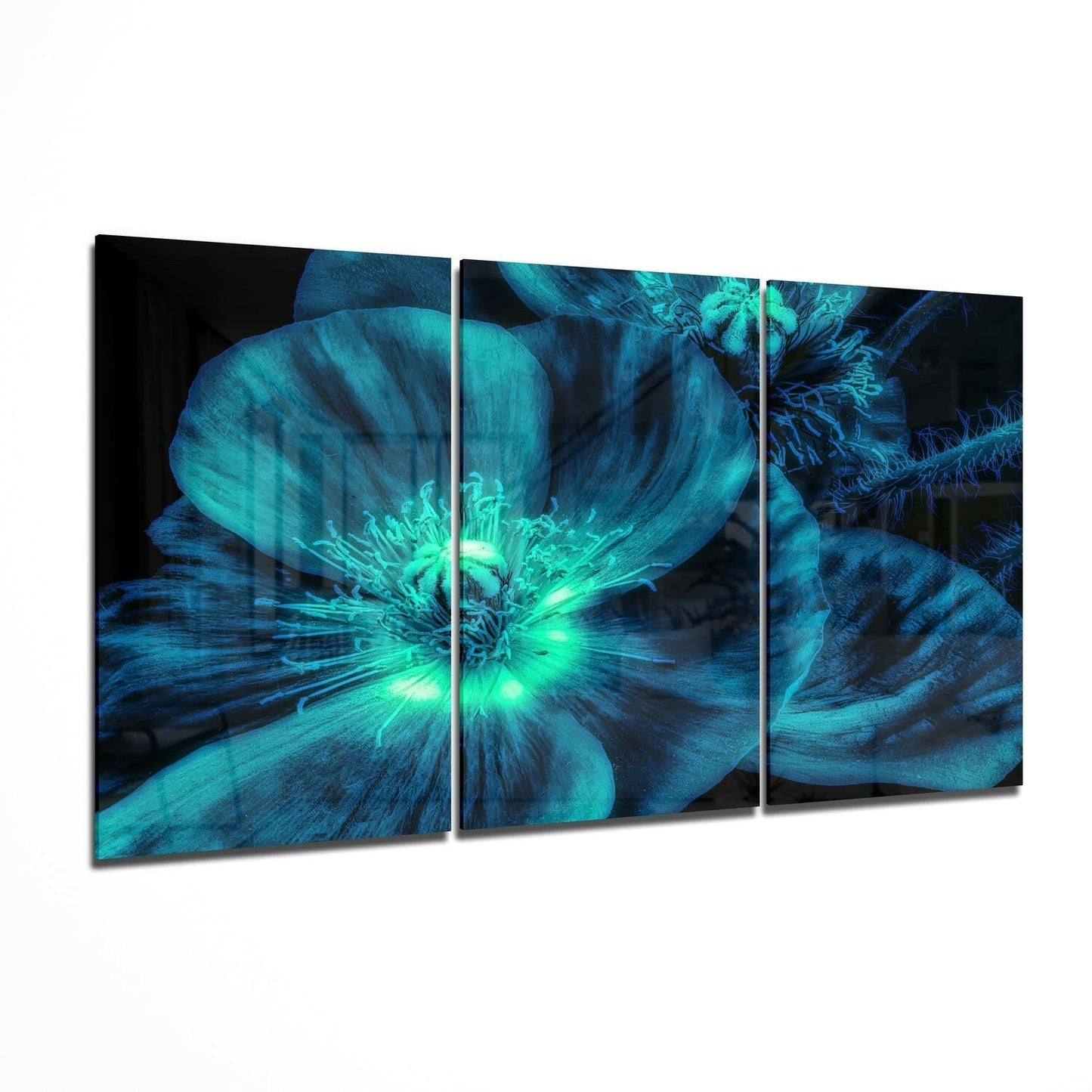 Glowing Turquoise Poppy Close Up Glass Wall Art