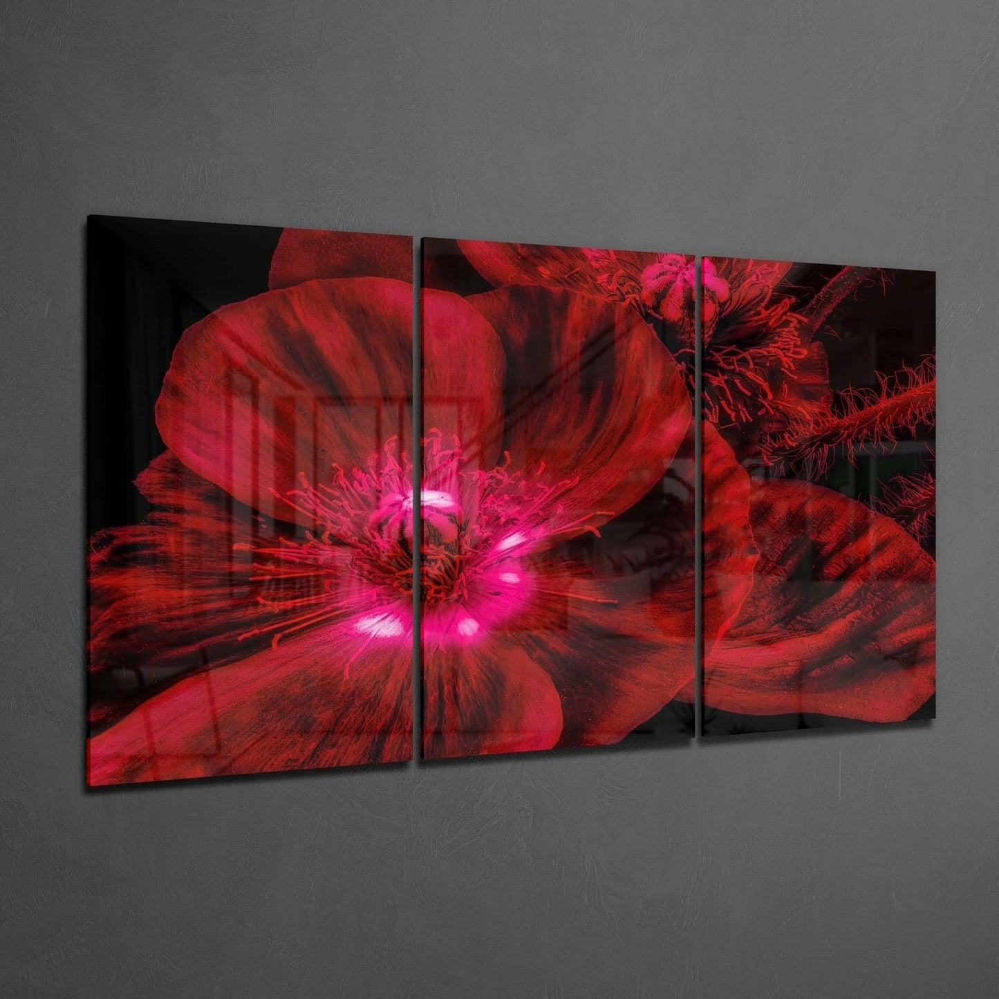 Glowing Crimson Poppy Macro Glass Wall Art
