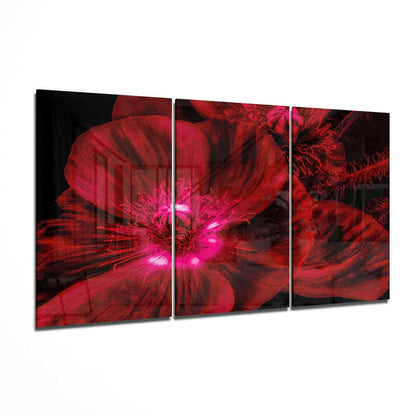 Glowing Crimson Poppy Macro Glass Wall Art