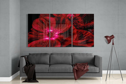 Glowing Crimson Poppy Macro Glass Wall Art