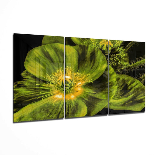 Three-panel glass wall art displaying a vibrant green poppy flower with yellow stamens against a dark background.