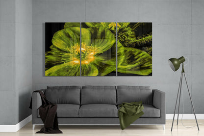 Green Poppy Triptych Glass Wall Art