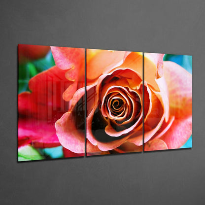 Coral Rose Bloom Triptych Glass Wall Art