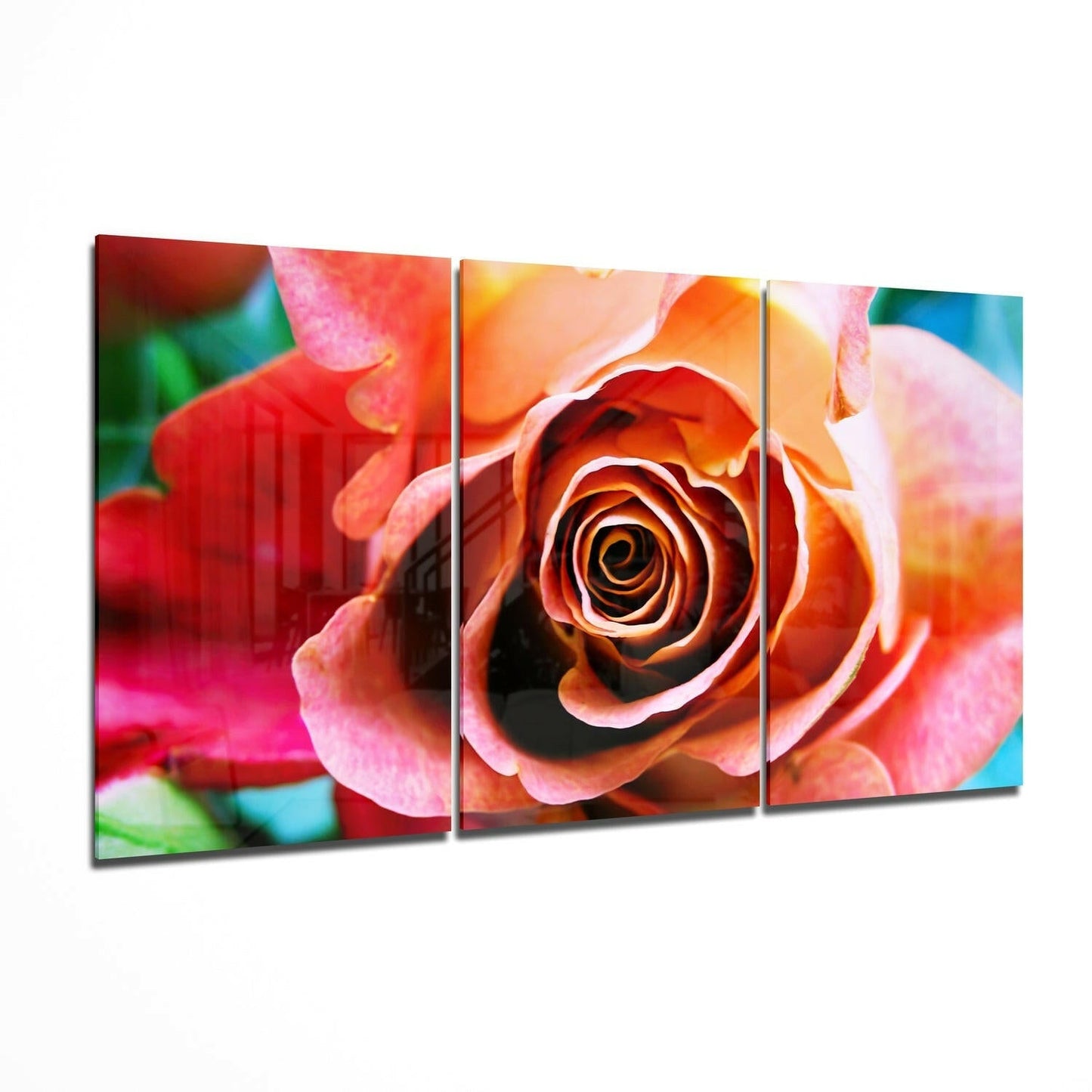 Coral Rose Bloom Triptych Glass Wall Art