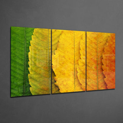 Green To Orange Leaf Gradient Glass Wall Art