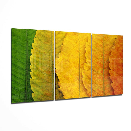 Three-panel glass wall art displaying close-up leaf textures transitioning from green to yellow to orange, angled perspective view.