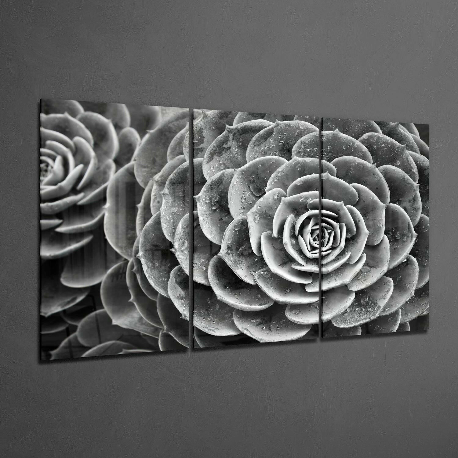 Black and white multi-panel glass wall art displaying close-up succulent plants with water droplets against gray wall.