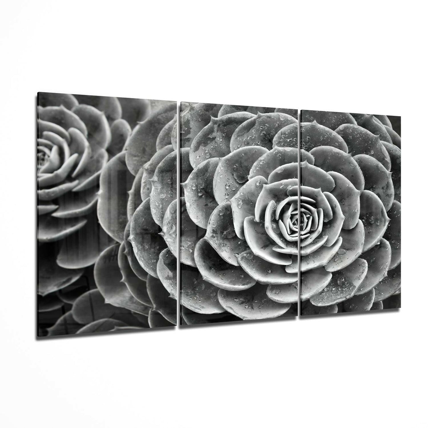 Three-panel black and white glass wall art displaying close-up succulent plants with water droplets in geometric arrangement.