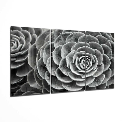 Three-panel black and white glass wall art displaying close-up succulent plants with water droplets in geometric arrangement.