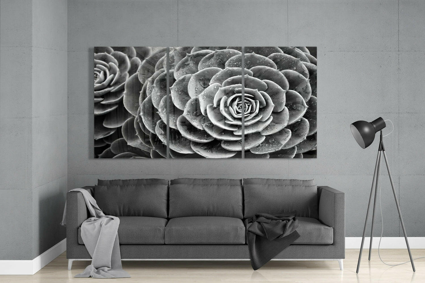 Black and white triptych glass wall art displaying close-up succulent plants above gray sofa in modern living room.