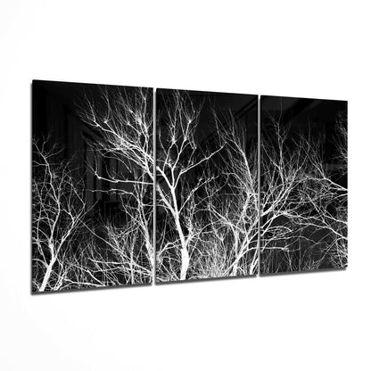Three-panel black and white glass wall art displaying bare tree branches against dark backgrounds in perspective view.