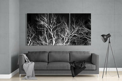 Three-panel black and white glass wall art displaying bare tree branches above a gray sofa in a minimalist living room.