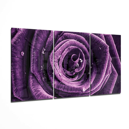 Dewdrop Purple Rose Triptych Glass Wall Art