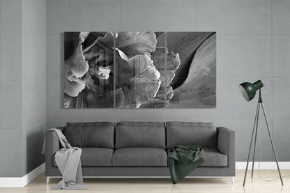 Gray Tulip Petals Triptych Glass Wall Art