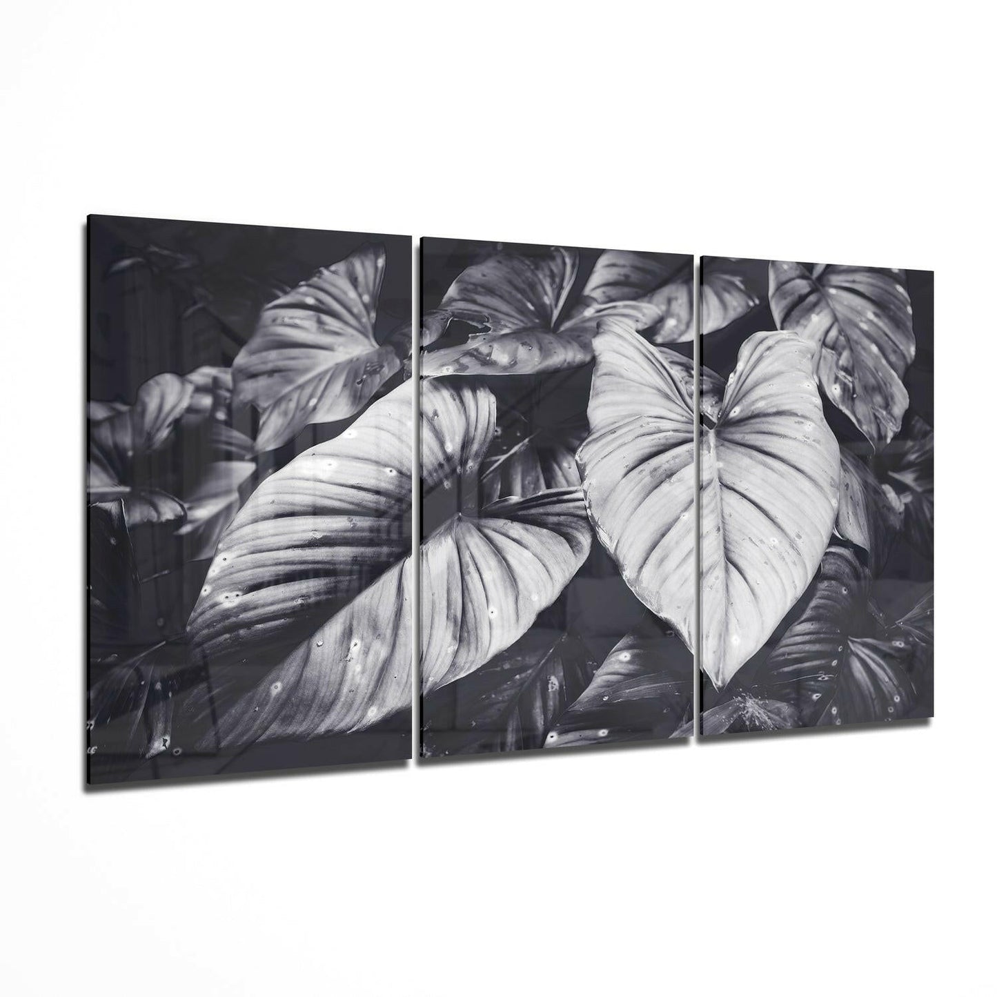 Black White Tropical Leaves Glass Wall Art