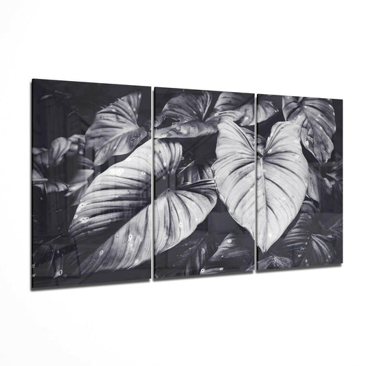 Three-panel black and white glass wall art displaying tropical leaves with water droplets against dark background.