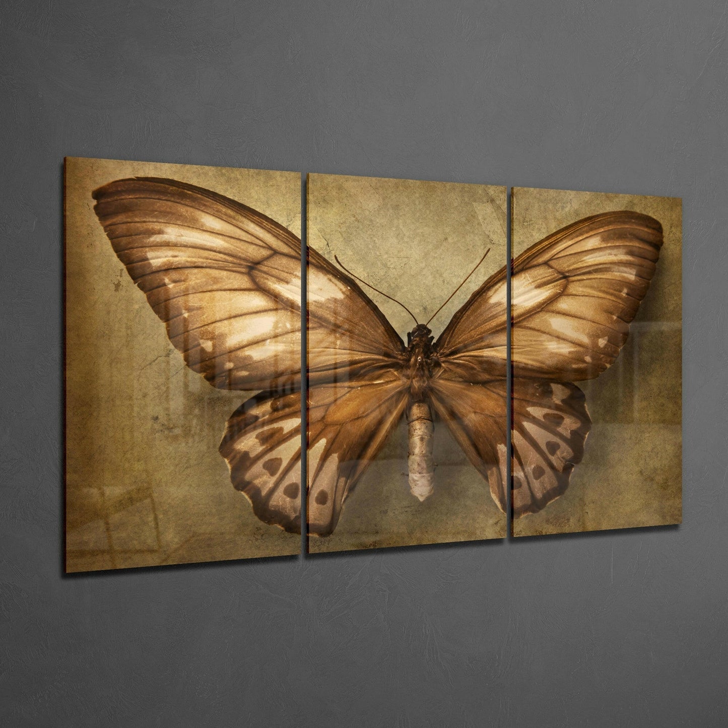 Three-panel brown butterfly glass art with antique gold textured background displayed on gray wall.
