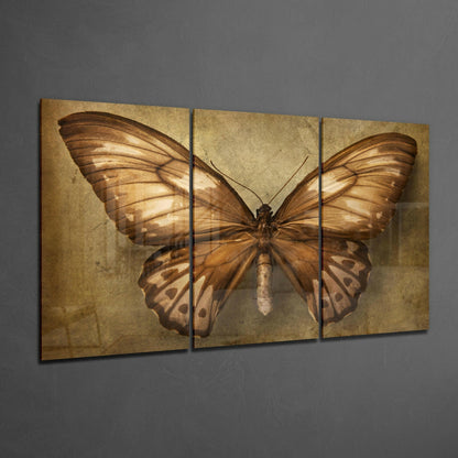 Three-panel brown butterfly glass art with antique gold textured background displayed on gray wall.