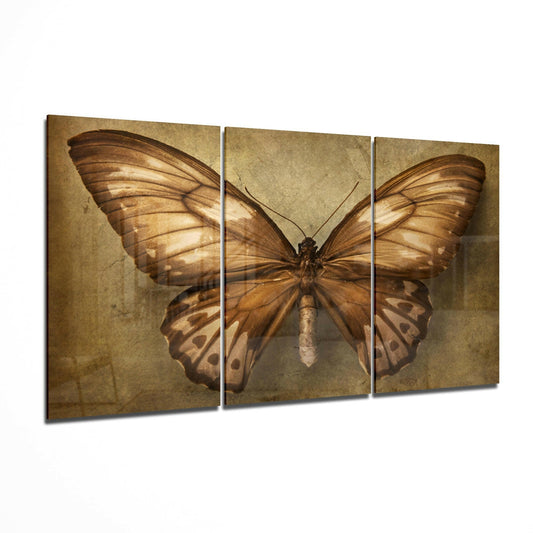 Three-panel glass art displaying a brown butterfly with spread wings centered against a textured beige background.