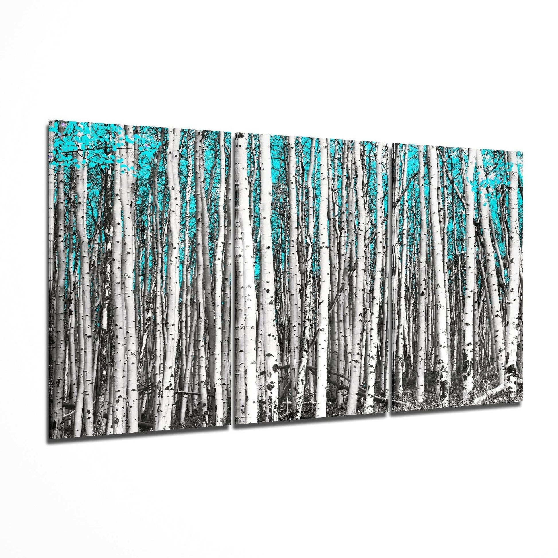 Dense birch forest with white trunks and turquoise sky visible between trees, displayed as multi-panel glass wall art.