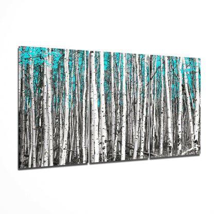 Dense birch forest with white trunks and turquoise sky visible between trees, displayed as multi-panel glass wall art.