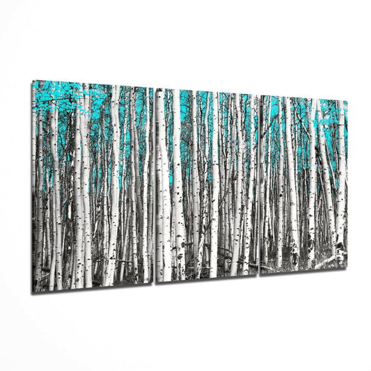 Dense birch forest with white trunks and turquoise sky visible between trees, displayed as multi-panel glass wall art.