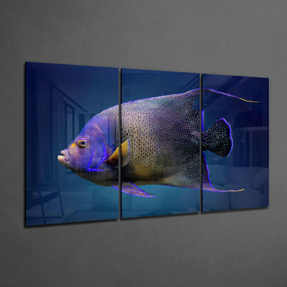 Three-panel glass art displaying a purple and gold angel fish with detailed scales against a deep blue background, mounted on a gray wall.