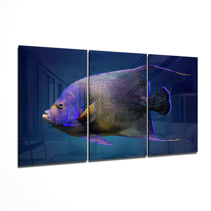 Three-panel glass art displaying a purple and gold queen angelfish against a deep blue background, shown in profile view.