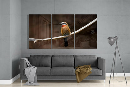 Three-panel glass art of a colorful bee-eater bird perched on a white branch against a dark interior background, displayed above a gray sofa.