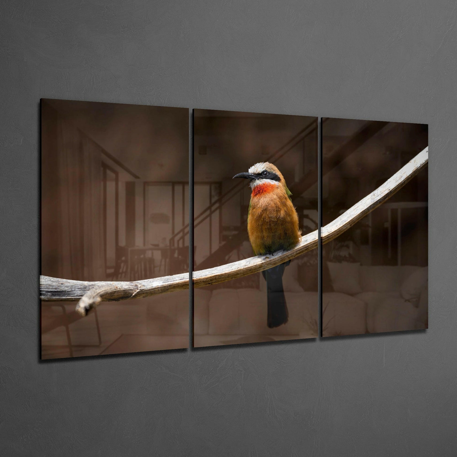 Three-panel glass art displaying a colorful bee-eater bird perched on a white branch against a blurred brown interior background.