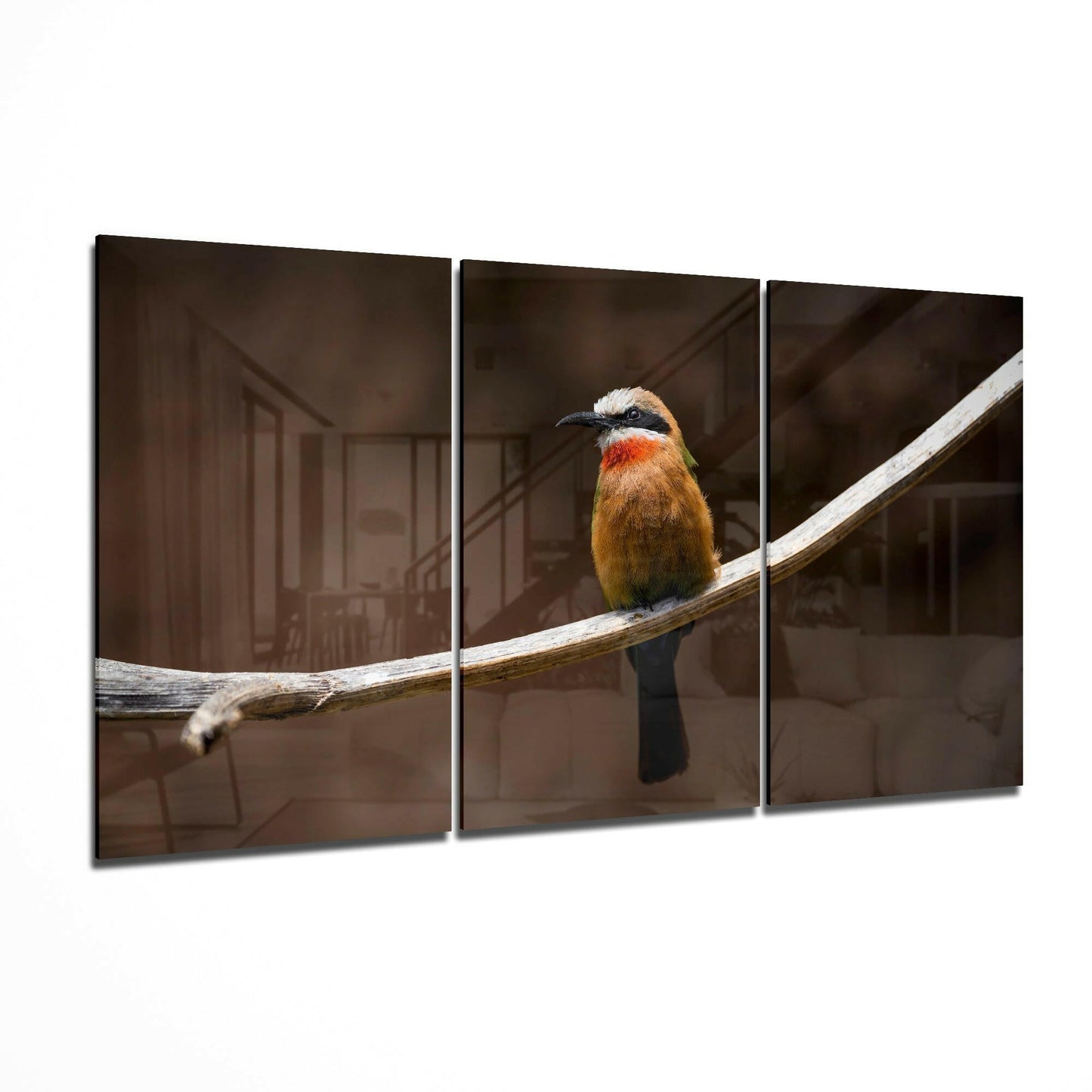 Colorful bee-eater bird perched on white branch, displayed as three-panel glass art with blurred brown interior background.