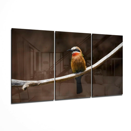 Colorful bee-eater bird perched on white branch, displayed as three-panel glass art with blurred brown interior background.