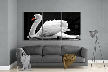 Three-panel triptych glass art of a white swan with orange beak on black background, displayed above gray sofa.