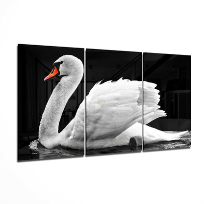 Three-panel glass art displaying a white swan with orange beak on black background, side profile view.