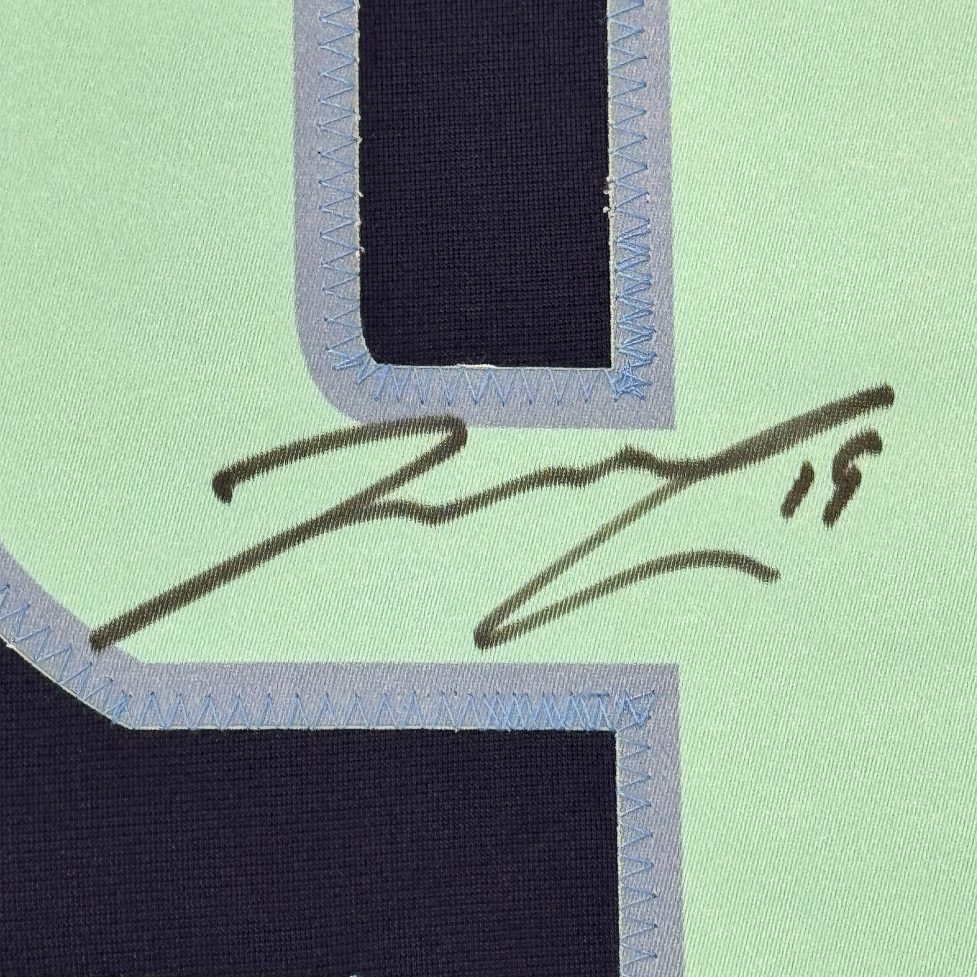 Close-up of handwritten signature in dark ink on light green fabric with blue stitched border framing.