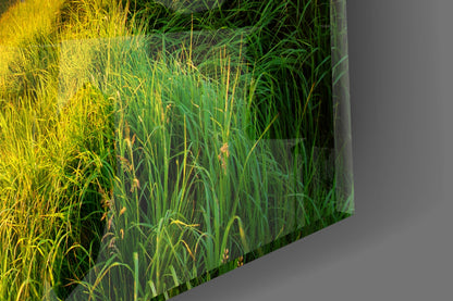 Sunburst Over Green Grass Ridge Glass Wall Art