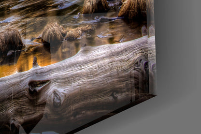 Yosemite Valley River Glass Wall Art