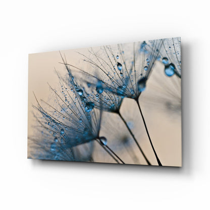 Blue Dandelion Water Drops Glass Wall Art