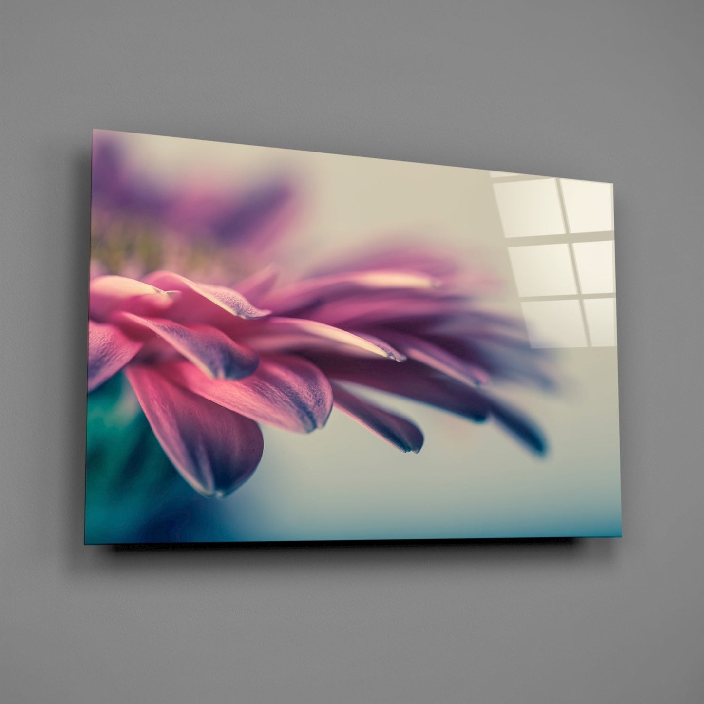 Soft Pink Gerbera Petals Glass Wall Art