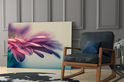 Soft Pink Gerbera Petals Glass Wall Art